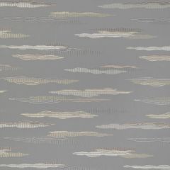 Kravet Design Constant Motion Pewter 36819-11 by Candice Olson Multipurpose Fabric