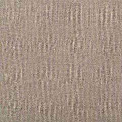 Kravet Basics  36820-106 Indoor/Outdoor Collection Upholstery Fabric