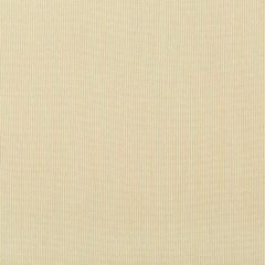 Kravet Basics  36820-16 Indoor/Outdoor Collection Upholstery Fabric
