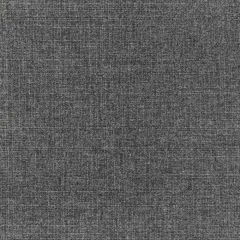 Kravet Basics  36821-21 Indoor/Outdoor Collection Upholstery Fabric