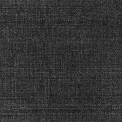 Kravet Basics  36821-8 Indoor/Outdoor Collection Multipurpose Fabric