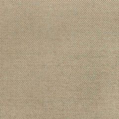 Kravet Basics  36826-116 Indoor/Outdoor Collection Upholstery Fabric