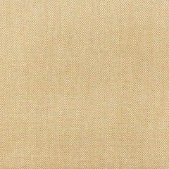 Kravet Basics  36829-16 Indoor/Outdoor Collection Upholstery Fabric