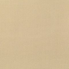 Kravet Basics  36841-1616 Indoor/Outdoor Collection Upholstery Fabric