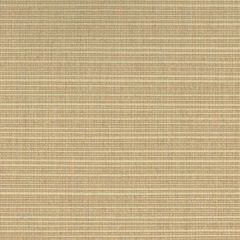 Kravet Basics  36842-16 Indoor/Outdoor Collection Upholstery Fabric