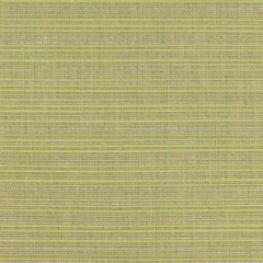 Kravet Basics  36842-23 Indoor/Outdoor Collection Upholstery Fabric