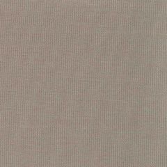 Kravet Basics  36843-106 Indoor/Outdoor Collection Upholstery Fabric