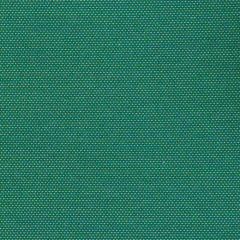 Kravet Basics  36843-303 Indoor/Outdoor Collection Upholstery Fabric
