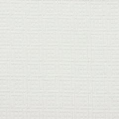 Robert Allen Sunbrella 65012LD White 1 Upholstery Fabric