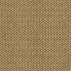 Kravet Smart Brown 33349-16 Guaranteed in Stock Indoor Upholstery Fabric