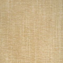 Kravet Smart  36885-44 Inside Out Performance Fabrics Collection Upholstery Fabric