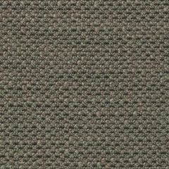 Duralee DW61171 Chinchilla 319 Indoor Upholstery Fabric