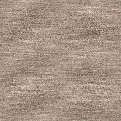 Robert Allen Boucle Glam Greystone 260519 Indoor Upholstery Fabric