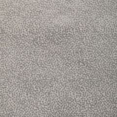 Kravet Design 36988-1101 Modern Velvets Collection Indoor Upholstery Fabric