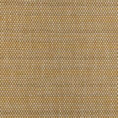 Kravet Smart 36994-4 Pavilion Collection Upholstery Fabric