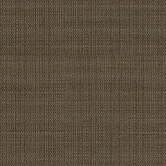Kravet Libbey Bison 31864-106 Indoor Upholstery Fabric