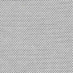 Tempotest Home Michelangelo Silver 50964/14 Strutture Collection Upholstery Fabric