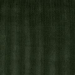 Kravet Smart 37006-3333 Indoor Upholstery Fabric