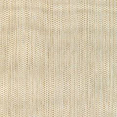 Kravet Smart 37018-116 GIS Collection Indoor Upholstery Fabric
