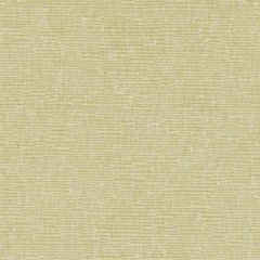 Duralee Dk61276 25-Chartreuse 370531 Indoor Upholstery Fabric