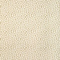 Kravet Design Step Above Chablis 37062-16 Latitude Collection by Thom Filicia Upholstery Fabric