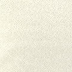 Kravet Design 37064-1 Modern Velvets Collection Indoor Upholstery Fabric