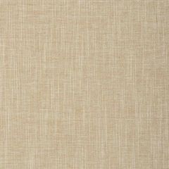 Kravet Smart 37078-1161 Trio Textures Collection Indoor Upholstery Fabric