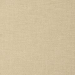 Kravet Smart 37080-116 Trio Textures Collection Indoor Upholstery Fabric