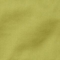 Highland Court 800256H 25-Chartreuse 370821 Indoor Upholstery Fabric