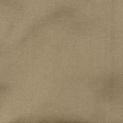 Highland Court 800256H 452-Aloe 370865 Indoor Upholstery Fabric