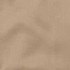 Highland Court 800256H 88-Champagne 370883 Indoor Upholstery Fabric