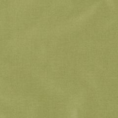 Highland Court 800255H 208-Absinthe 370915 Indoor Upholstery Fabric
