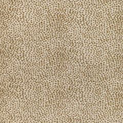 Kravet Design 37126-161 Woven Colors Collection Indoor Upholstery Fabric