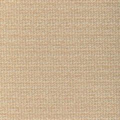 Kravet Design 37155-411 Woven Colors Collection Indoor Upholstery Fabric