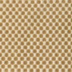 Kravet Design 37165-1116 Indoor Upholstery Fabric