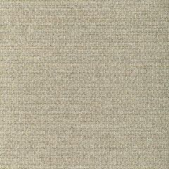 Kravet Design 37200-54 Woven Colors Collection Indoor Upholstery Fabric