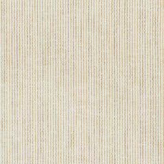 Kravet Basics 37263-416 Bungalow Chic II Collection Multipurpose Fabric