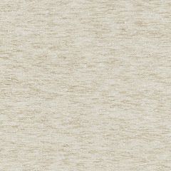 Kravet Basics 37265-1161 Taos Weaves Collection Multipurpose Fabric