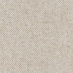 Kravet Basics 37267-1601 Taos Weaves Collection Multipurpose Fabric