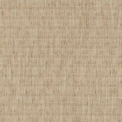 Kravet Basics 37273-116 Taos Weaves Collection Multipurpose Fabric