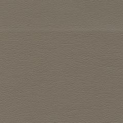 F. Schumacher Ultraleather Stone 291-3602 Ultraleather Collection