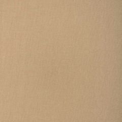 Kravet Design 37320-116 The Complete Linen Collection IV Indoor Upholstery Fabric