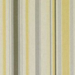 Duralee DJ61563 Gold / Silver 240 Indoor Upholstery Fabric