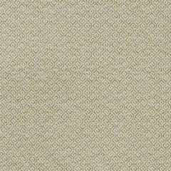 Robert Allen Mottled Maze Lettuce 508662 Epicurean Collection Indoor Upholstery Fabric