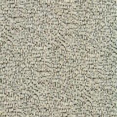 Robert Allen Glintwood Zinc 234189 Filtered Color Collection Indoor Upholstery Fabric