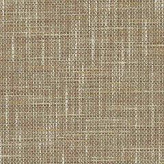 Duralee DK61488 Spice 136 Indoor Upholstery Fabric