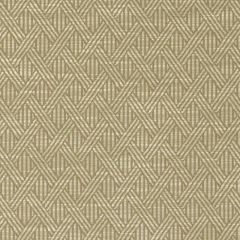 Duralee DI61592 Rattan 519 Indoor Upholstery Fabric