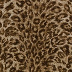 Duralee Dp61591 10-Brown 376686 Carousel All Purpose Collection Indoor Upholstery Fabric
