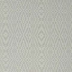 Robert Allen Global Weave Zinc 245892 Indoor Upholstery Fabric
