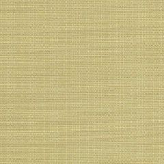 Duralee Contract 90954 Honey Dew 243 Indoor Upholstery Fabric